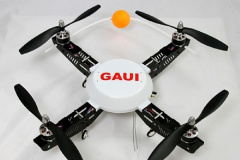 Drohne Gaui
